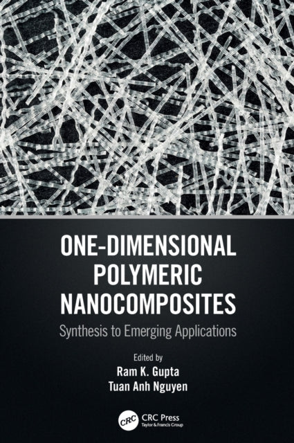 Book cover of: One-Dimensional Polymeric Nanocomposites. By: Ram K. Gupta