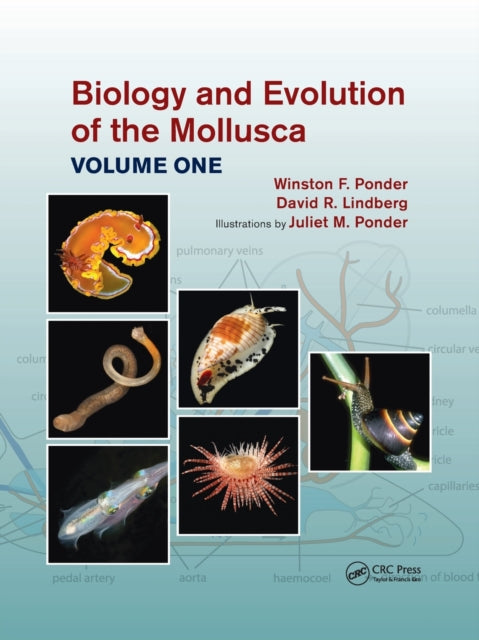 Book cover of: Biology and Evolution of the Mollusca, Volume 1. By: W. F. Ponder