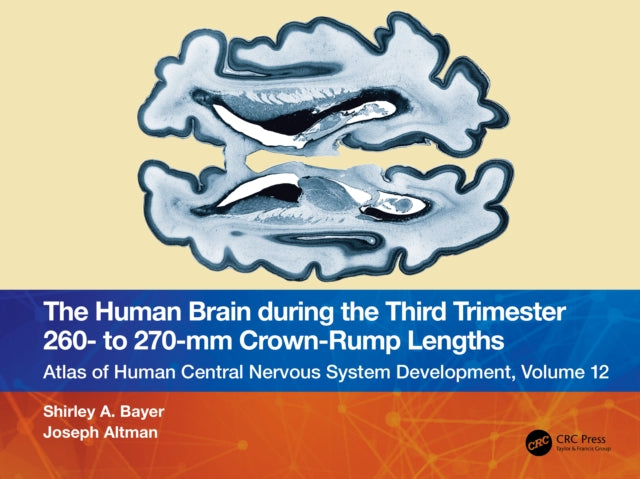 Book cover of: Human Brain during the Third Trimester 260– to 270–mm Crown-Rump Lengths. By: Shirley A. Bayer