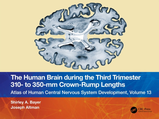 Book cover of: Human Brain during the Third Trimester 310– to 350–mm Crown-Rump Lengths. By: Shirley A. Bayer