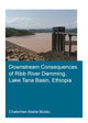 Book cover of: Downstream Consequences of Ribb River Damming, Lake Tana Basin, Ethiopia. By: Chalachew Abebe Mulatu