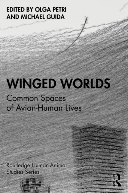 Book cover of: Winged Worlds. By: Olga Petri
