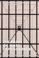 Book cover of: Pains of Mass Imprisonment