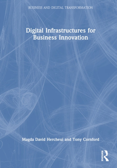 Book cover of: Digital Infrastructures for Business Innovation. By: Magda David Hercheui
