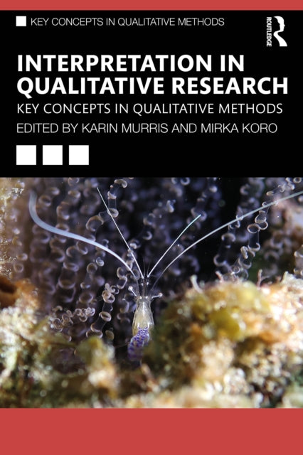 Book cover of: Interpretation in Qualitative Research