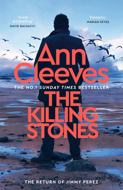 Book cover of: Killing Stones