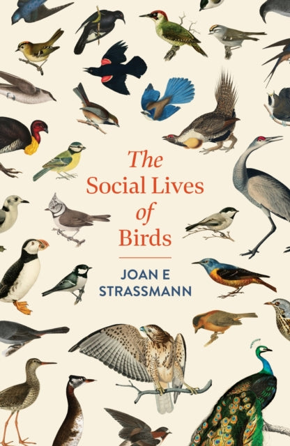 Book cover of: Social Lives of Birds