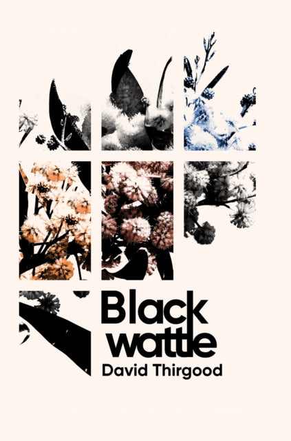 Book cover of: Blackwattle