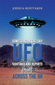 Book cover of: Something in the Sky