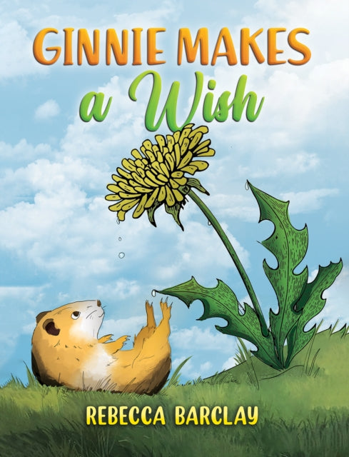 Book cover of: Ginnie Makes a Wish. By: Rebecca Barclay