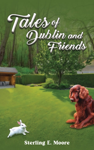 Book cover of: Tales of Dublin and Friends