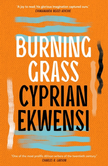 Book cover of: Burning Grass