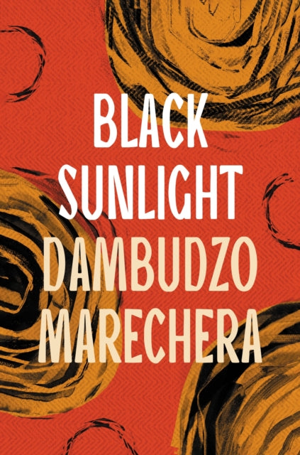 Black Sunlight 9781035906161 Dambudzo Marechera