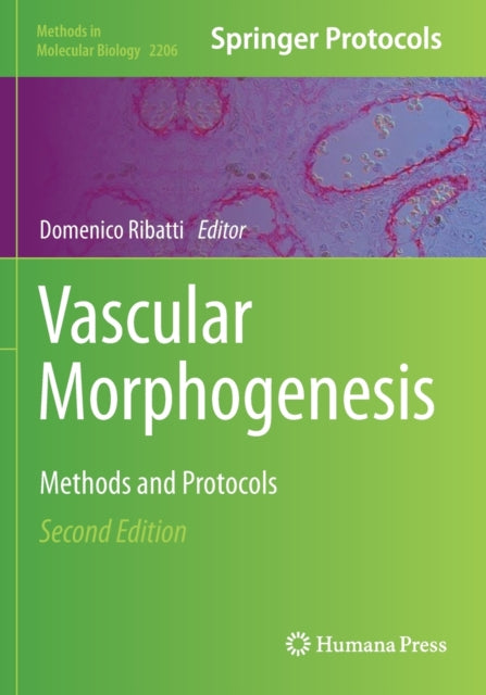 Book cover of: Vascular Morphogenesis. By: Domenico Ribatti