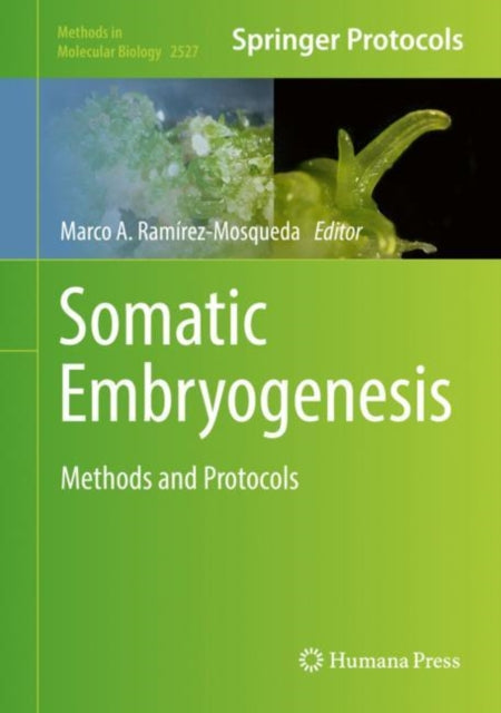Book cover of: Somatic Embryogenesis. By: Marco Antonio Ramírez Mosqueda