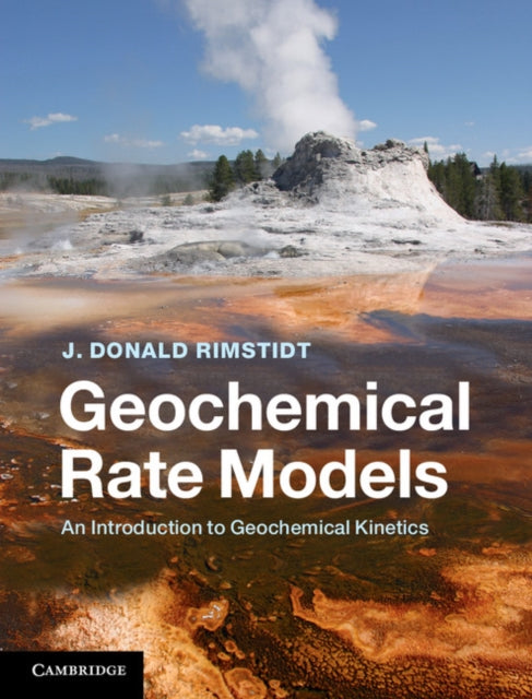 Book cover of: Geochemical Rate Models