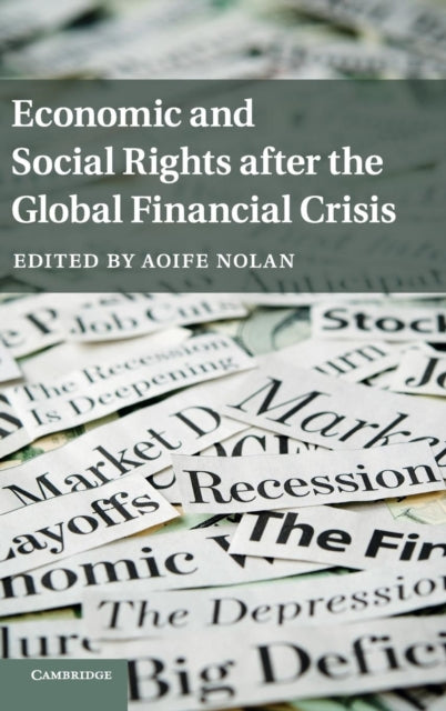Book cover of: Economic and Social Rights after the Global Financial Crisis. By: Aoife Nolan