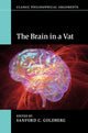 Book cover of: Brain in a Vat. By: Sanford C. Goldberg