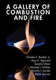 Book cover of: Gallery of Combustion and Fire. By: Baukal, Charles, Jr.