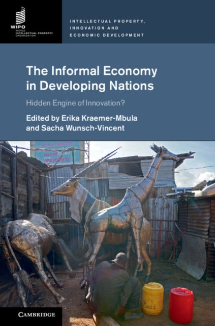 Book cover of: Informal Economy in Developing Nations. By: Erika Kraemer-Mbula