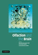 Book cover of: Olfaction and the Brain. By: Warrick J. Brewer