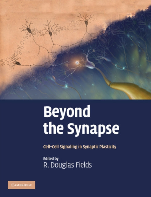 Book cover of: Beyond the Synapse. By: R. Douglas Fields