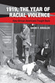 Book cover of: 1919, The Year of Racial Violence. By: David F. Krugler