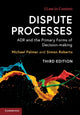 Book cover of: Dispute Processes. By: Michael Palmer