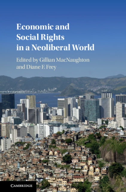 Book cover of: Economic and Social Rights in a Neoliberal World. By: Gillian MacNaughton