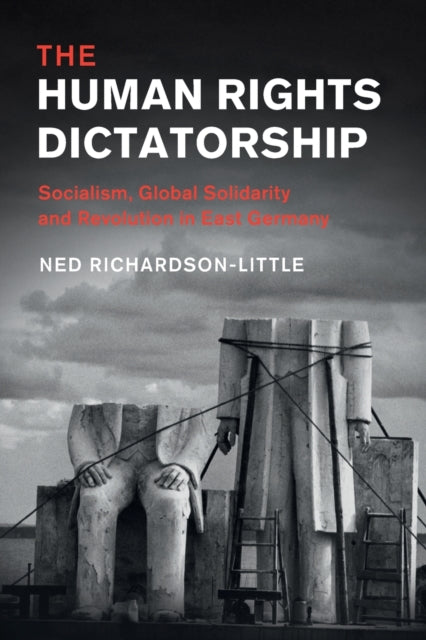 Book cover of: Human Rights Dictatorship. By: Ned Richardson-Little