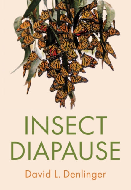 Book cover of: Insect Diapause. By: David L. Denlinger