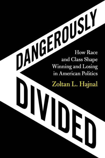 Book cover of: Dangerously Divided. By: Zoltan L. Hajnal