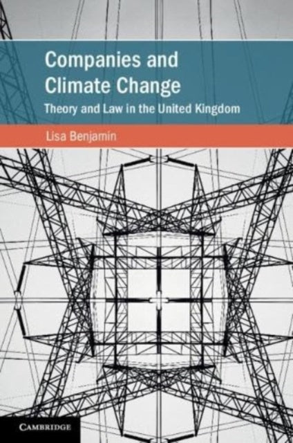 Book cover of: Companies and Climate Change. By: Lisa Benjamin