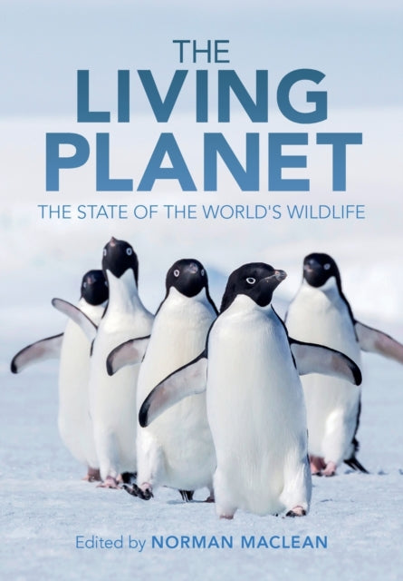 Book cover of: Living Planet. By: Norman Maclean
