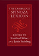 Book cover of: Cambridge Spinoza Lexicon. By: Karolina Hübner
