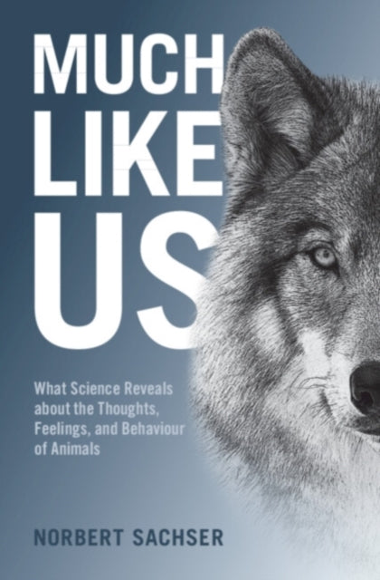 Book cover of: Much Like Us. By: Norbert Sachser