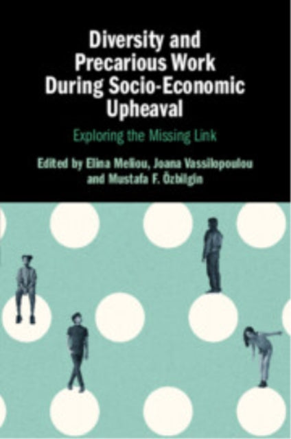 Book cover of: Diversity and Precarious Work During Socio-Economic Upheaval