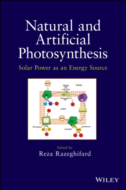 Book cover of: Natural and Artificial Photosynthesis