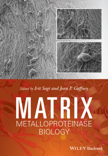 Book cover of: Matrix Metalloproteinase Biology