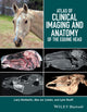 Book cover of: Atlas of Clinical Imaging and Anatomy of the Equine Head. By: Larry Kimberlin