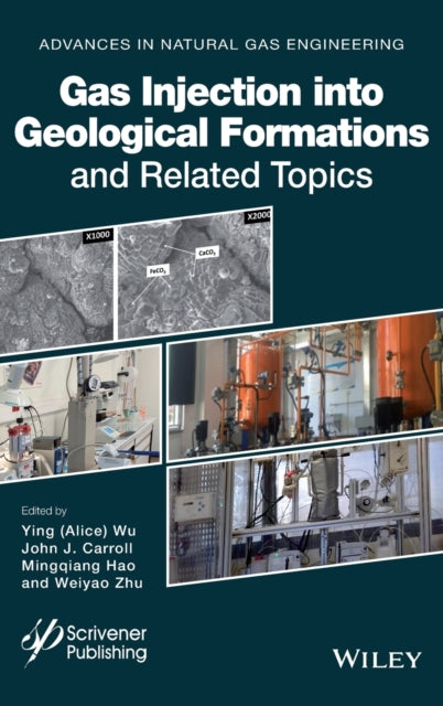 Book cover of: Gas Injection into Geological Formations and Related Topics. By: Alice Wu