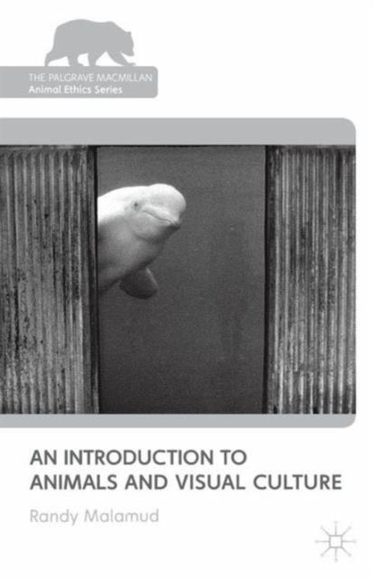 Book cover of: Introduction to Animals and Visual Culture. By: Randy Malamud