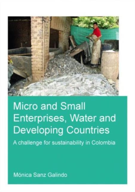 Book cover of: Micro and Small Enterprises, Water and Developing Countries. By: Gloria Ana María Mónica Sanz Galindo