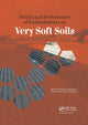 Book cover of: Design and Performance of Embankments on Very Soft Soils. By: Márcio de Souza S. Almeida