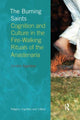 Book cover of: Burning Saints. By: Dimitris Xygalatas