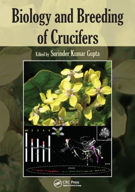 Book cover of: Biology and Breeding of Crucifers. By: Surinder Kumar Gupta