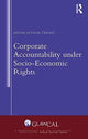 Book cover of: Corporate Accountability under Socio-Economic Rights. By: Jernej Letnar Černič