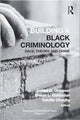 Book cover of: Building a Black Criminology, Volume 24. By: James D. Unnever