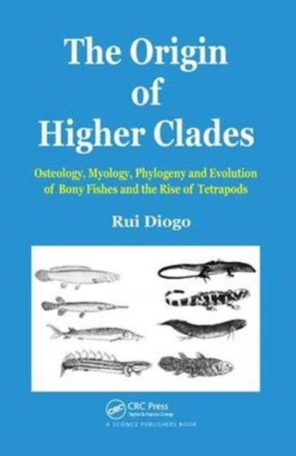 Book cover of: Origin of Higher Clades. By: Rui Diogo