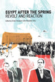 Book cover of: Egypt after the Spring. By: Emile Hoyakem